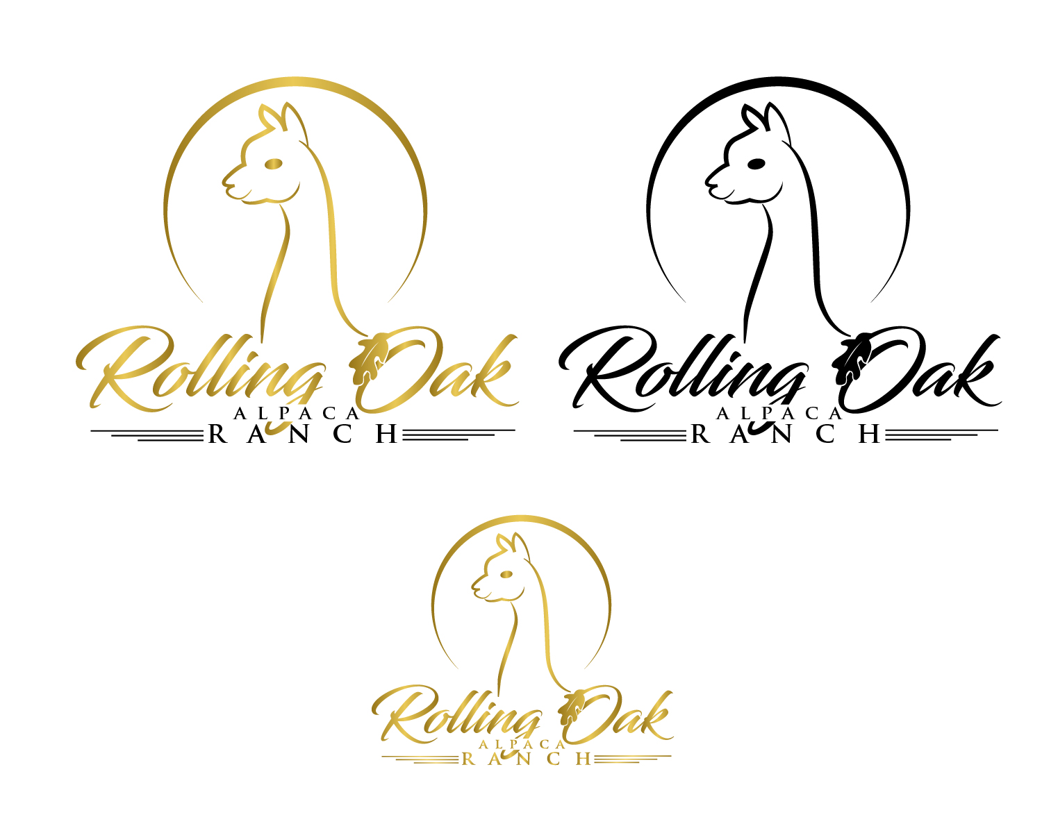 Logo Design entry 1460195 submitted by JBsign