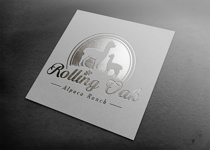 Logo Design entry 1460276 submitted by DP
