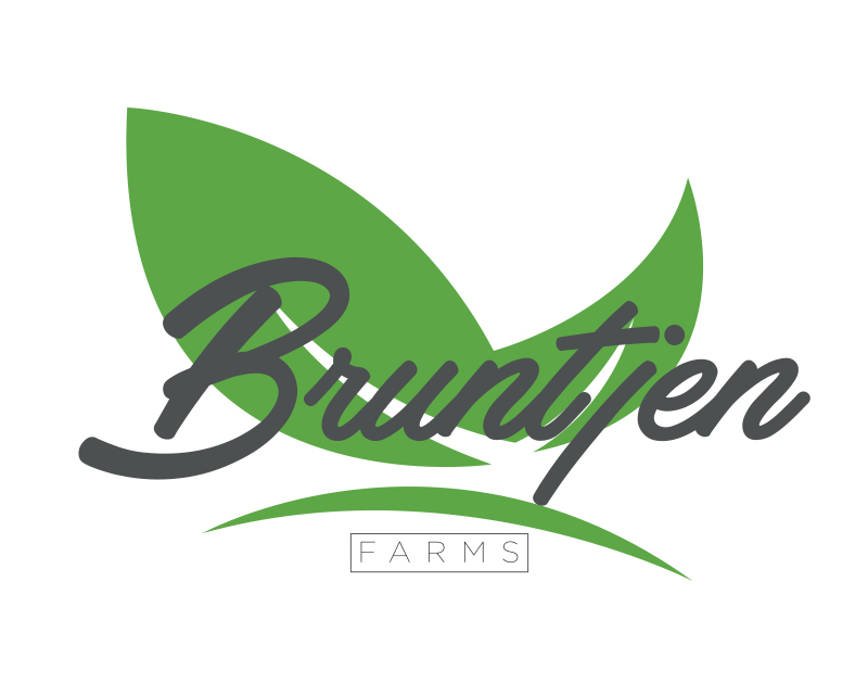 Logo Design entry 1454637 submitted by dannyaw