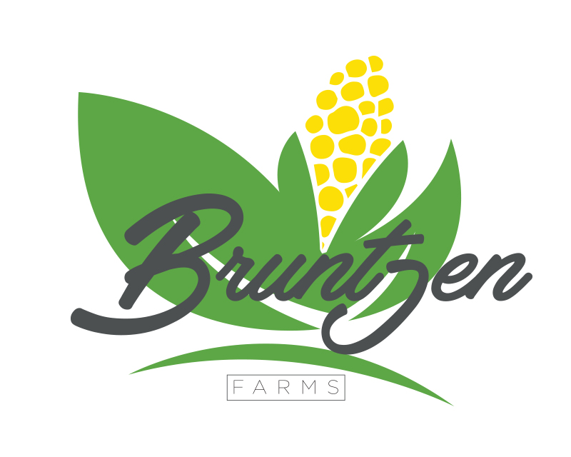Logo Design entry 1454800 submitted by dannyaw