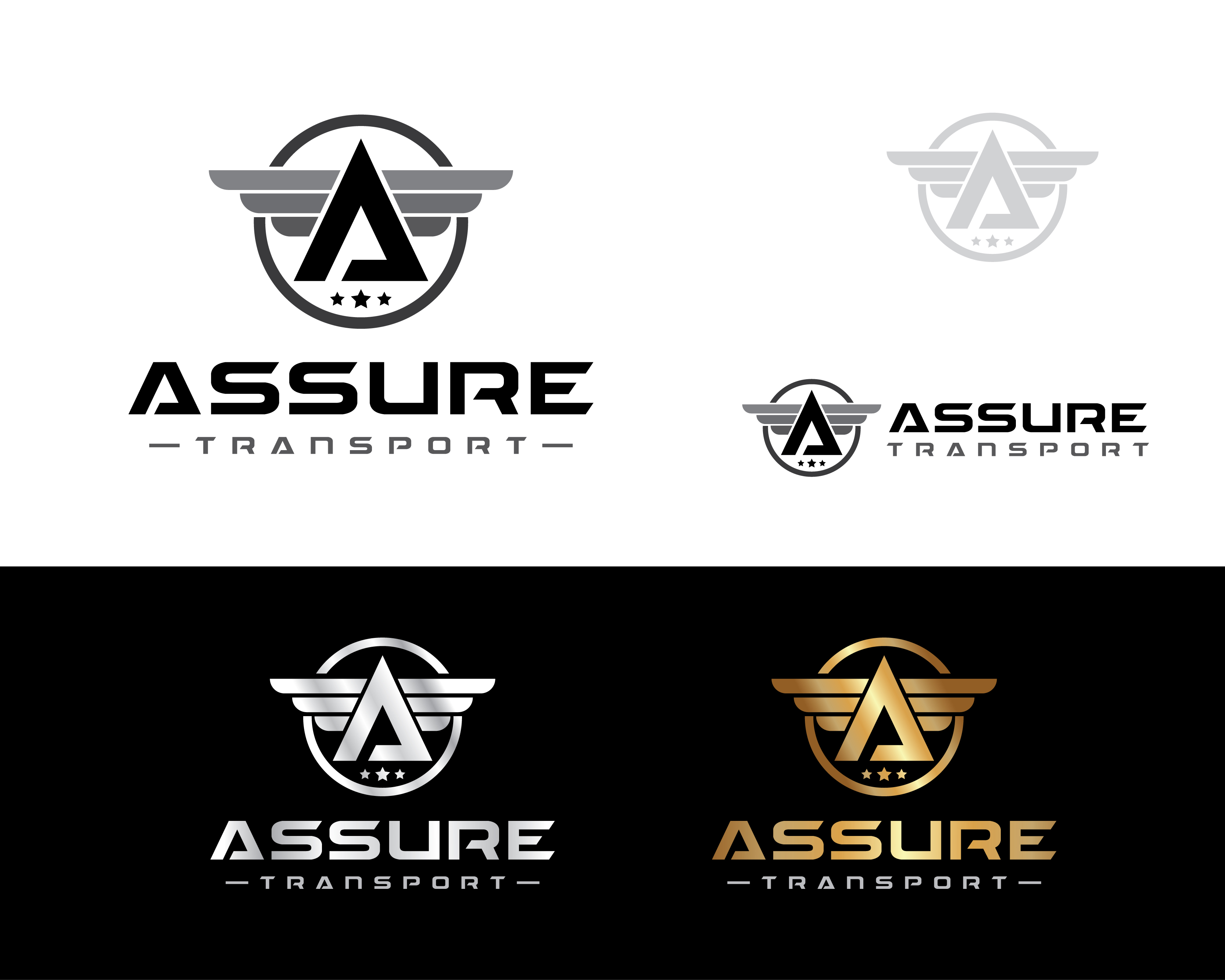 Logo Design entry 1401954 submitted by DP to the Logo Design for Assure Transport run by calebgroup