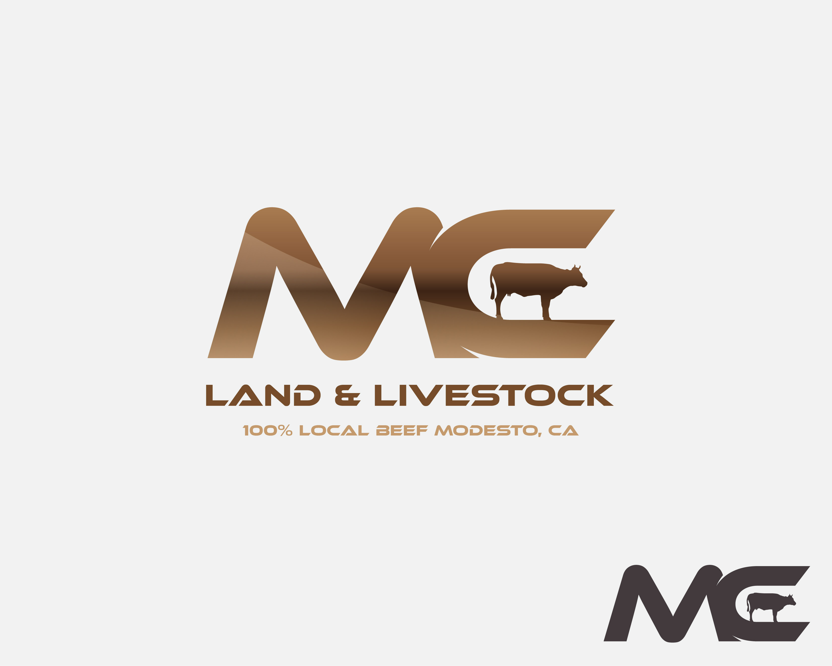 Logo Design entry 1463613 submitted by MancheDesign