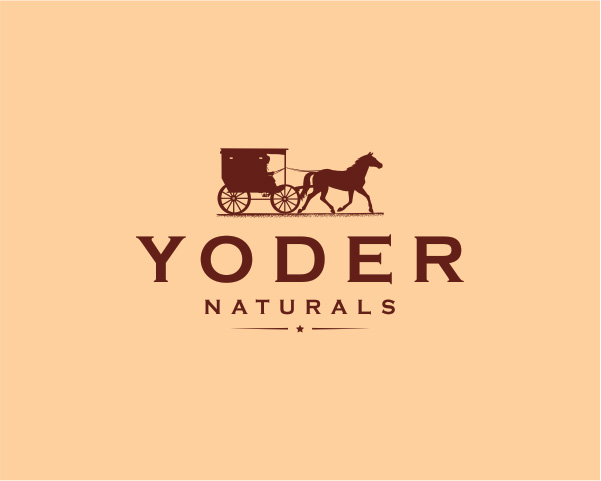 Logo Design entry 1468091 submitted by lurth