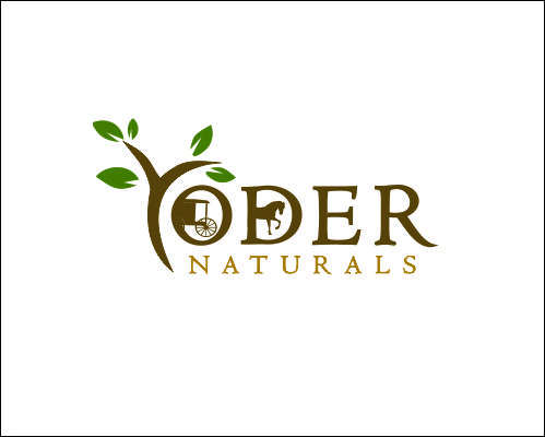 Logo Design entry 1468626 submitted by AriK