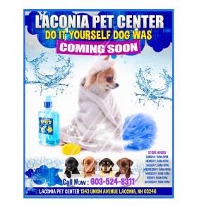Graphic Design entry 1416533 submitted by Betterway_designs to the Graphic Design for Laconia Pet Center run by Laconia Pet Center