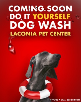 Graphic Design entry 1416535 submitted by Betterway_designs to the Graphic Design for Laconia Pet Center run by Laconia Pet Center