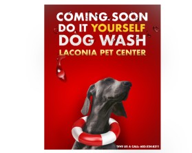 Graphic Design entry 1416536 submitted by Betterway_designs to the Graphic Design for Laconia Pet Center run by Laconia Pet Center