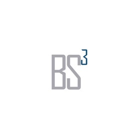 Logo Design entry 1419537 submitted by neil41_2000 to the Logo Design for BS3 run by Blacksky_Inv