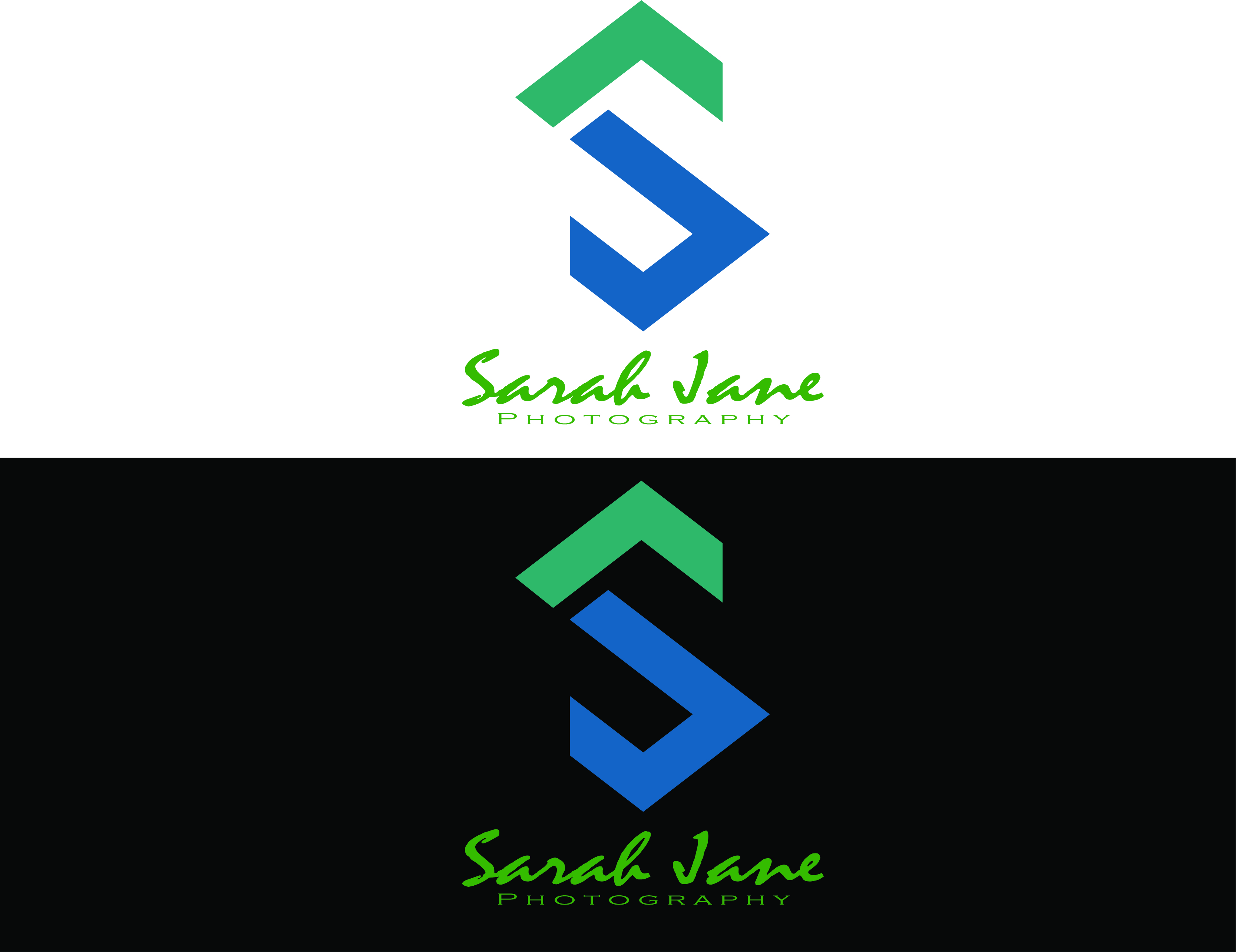 Logo Design entry 1541379 submitted by luckyguy07