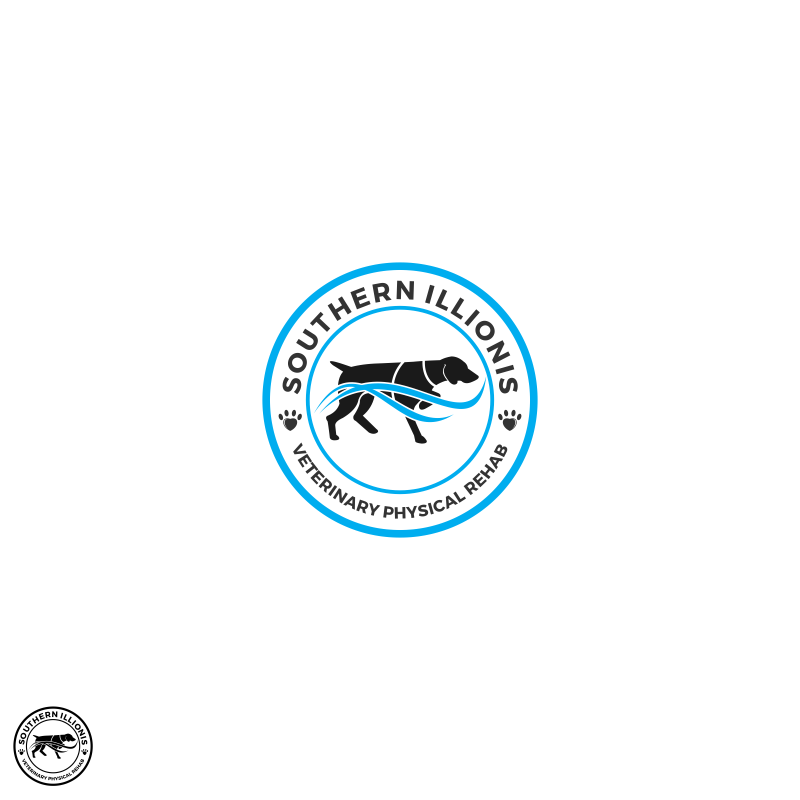 Logo Design entry 1484391 submitted by nouval8kurniesha9 to the Logo Design for Southern Illinois Veterinary Physical Rehab run by Striegel