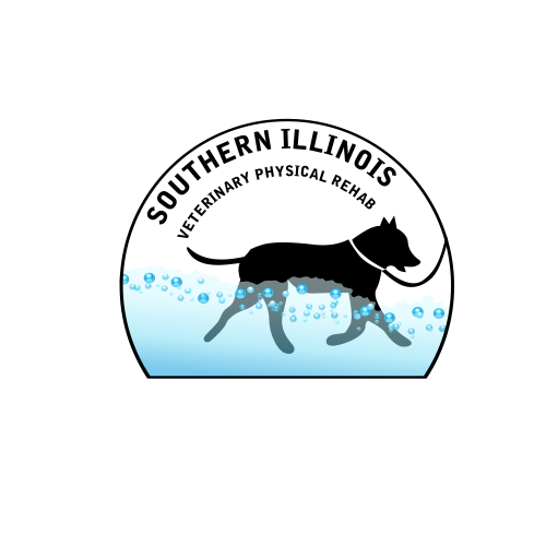 Logo Design entry 1544300 submitted by balsh