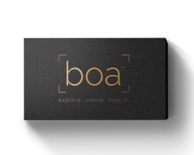 Logo Design entry 1506125 submitted by quimcey to the Logo Design for boa or bÅa run by boastudio