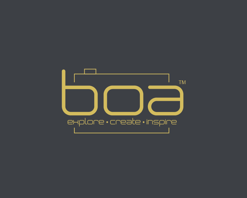 Logo Design entry 1562658 submitted by hormhsign
