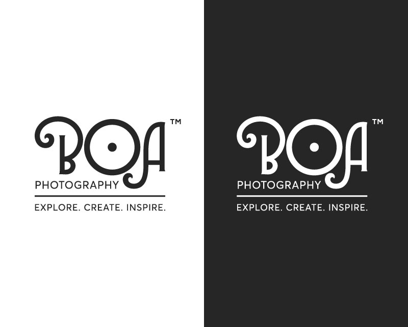 Logo Design entry 1562849 submitted by nsdhyd
