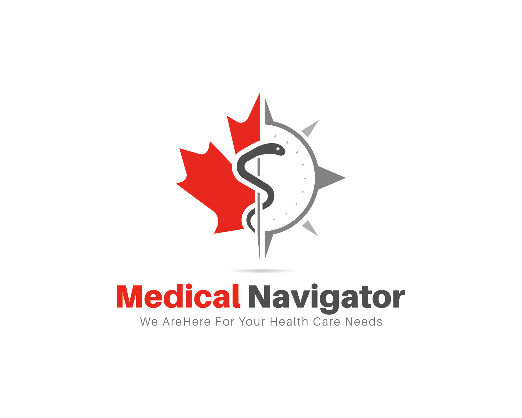 Logo Design entry 1506401 submitted by Artezza to the Logo Design for Medical navigator run by MedicalNavigator