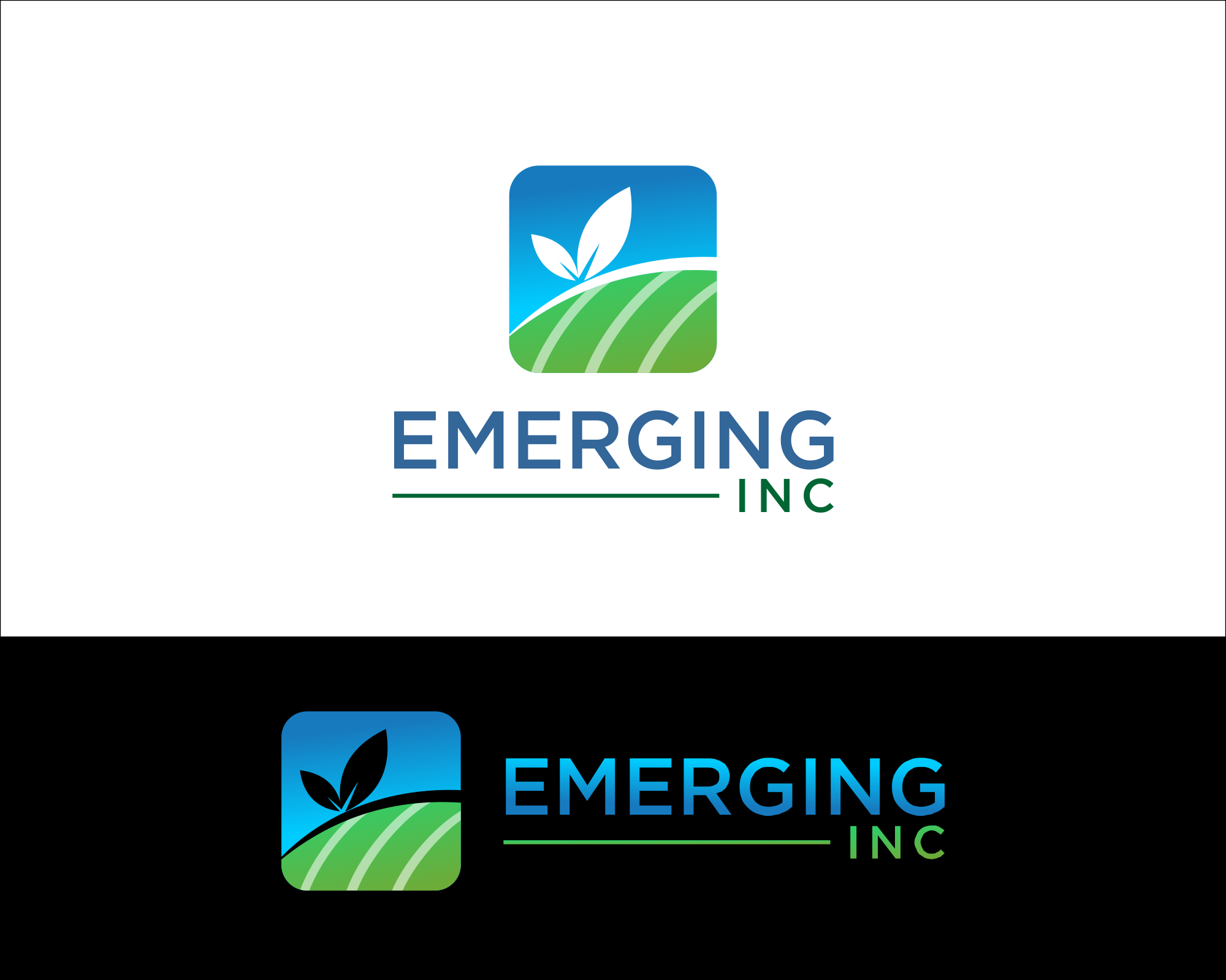Logo Design entry 1506847 submitted by Destination to the Logo Design for Emerging Inc. run by Kpetefish