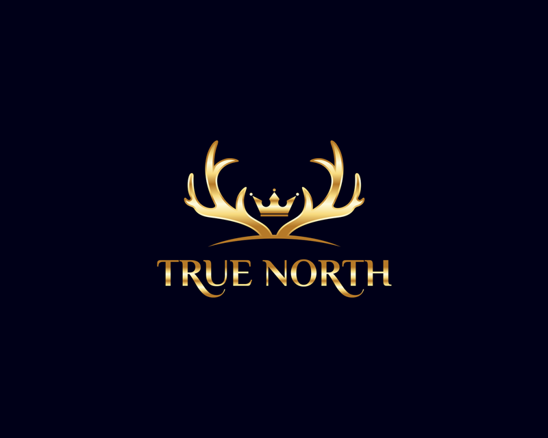 Logo Design entry 1509511 submitted by lurth to the Logo Design for TRUE NORTH run by IrfanNakhuda