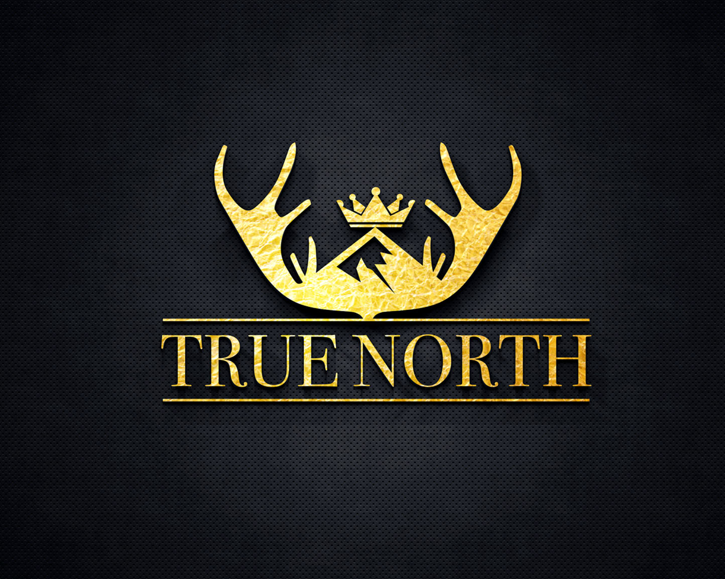 Logo Design entry 1509511 submitted by quimcey to the Logo Design for TRUE NORTH run by IrfanNakhuda