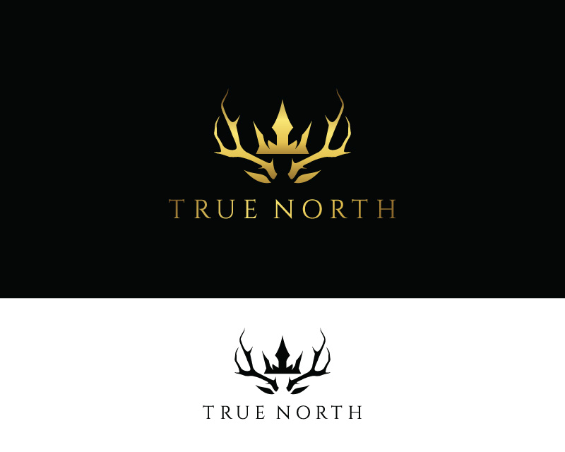 Logo Design entry 1567195 submitted by Amit1991