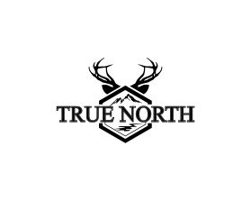 Logo Design entry 1509505 submitted by bcmaness to the Logo Design for TRUE NORTH run by IrfanNakhuda