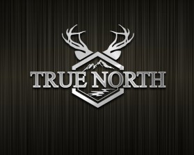Logo Design entry 1509507 submitted by bcmaness to the Logo Design for TRUE NORTH run by IrfanNakhuda