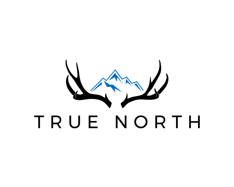 Logo Design entry 1509512 submitted by bcmaness to the Logo Design for TRUE NORTH run by IrfanNakhuda