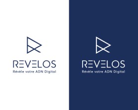 Logo Design entry 1578246 submitted by nsdhyd