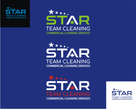 Logo Design entry 1520290 submitted by beekitty7 to the Logo Design for Star Team Cleaning run by Starteamcleaning