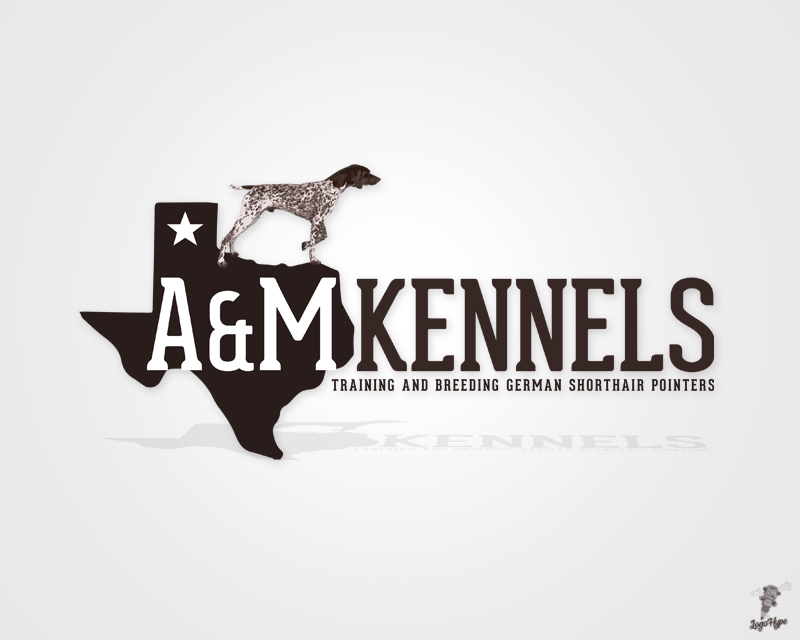 Logo Design entry 1529488 submitted by logohub to the Logo Design for A&M Shorthairs or A&M Kennels run by mattfuston