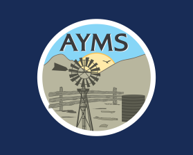 Logo Design entry 1530890 submitted by Bamse to the Logo Design for AYMS run by Helen