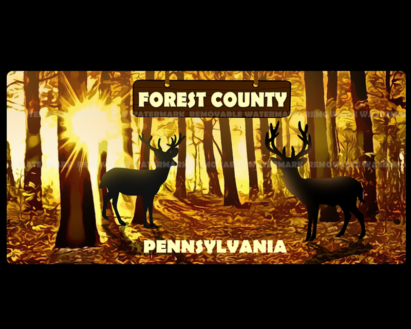 Graphic Design entry 1535304 submitted by logohub to the Graphic Design for Forest County, PA run by RonH