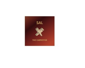Logo Design entry 1538828 submitted by joco to the Logo Design for Sal The Carpenter run by Saldonato