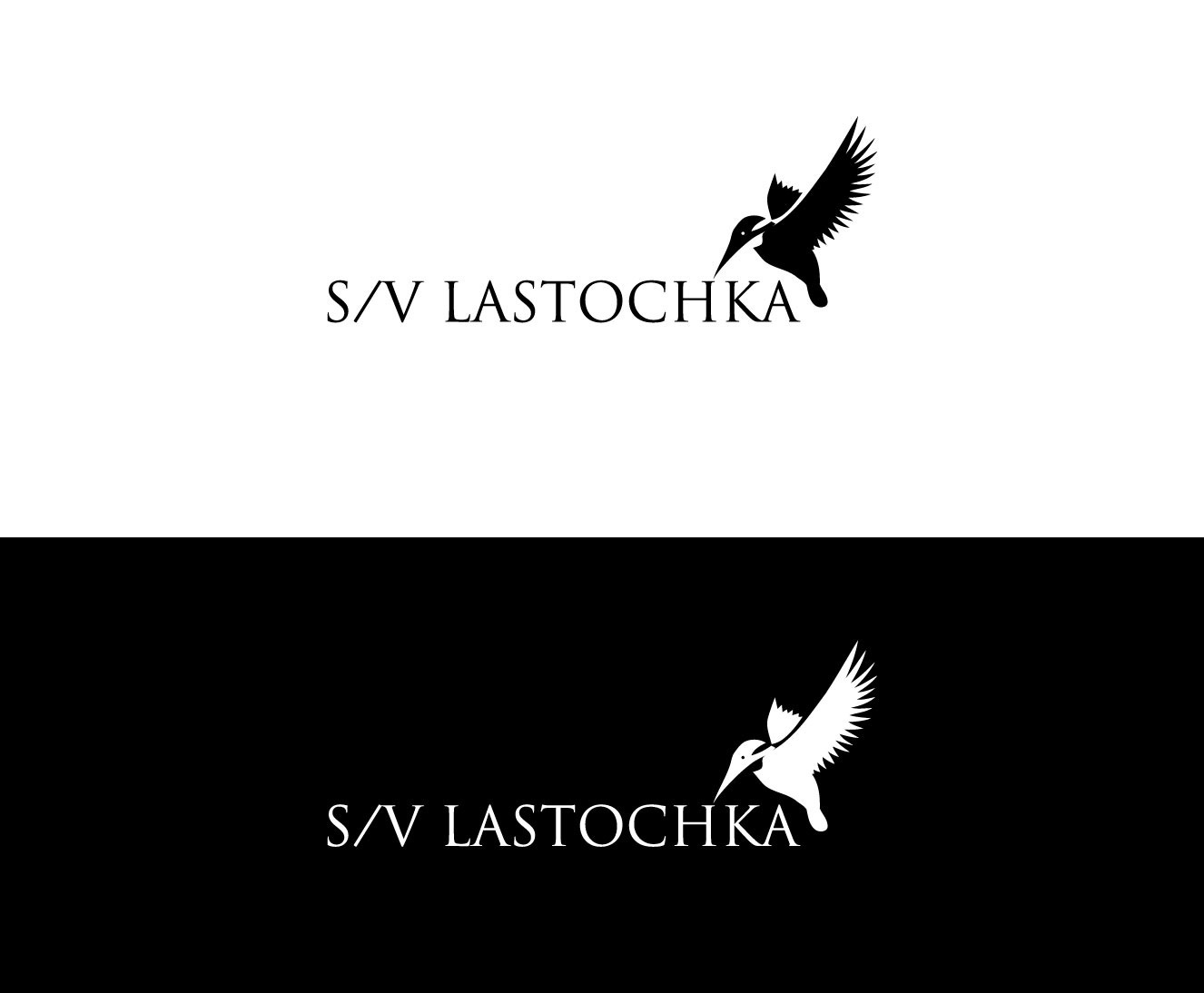 Logo Design entry 1599616 submitted by Dark49