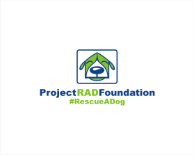 Logo Design entry 1543266 submitted by Jagad Langitan to the Logo Design for Project RAD Foundation run by kmuch