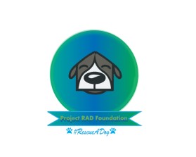 Logo Design entry 1603726 submitted by Dollly
