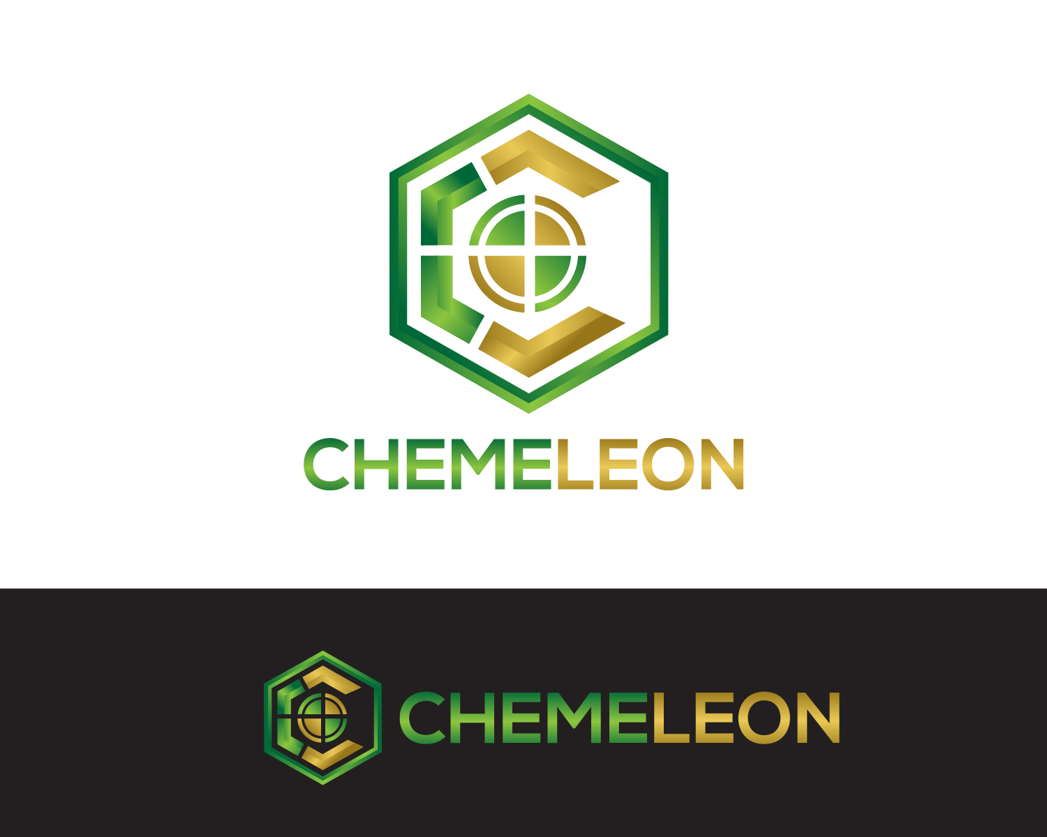 Logo Design entry 1607496 submitted by JBsign
