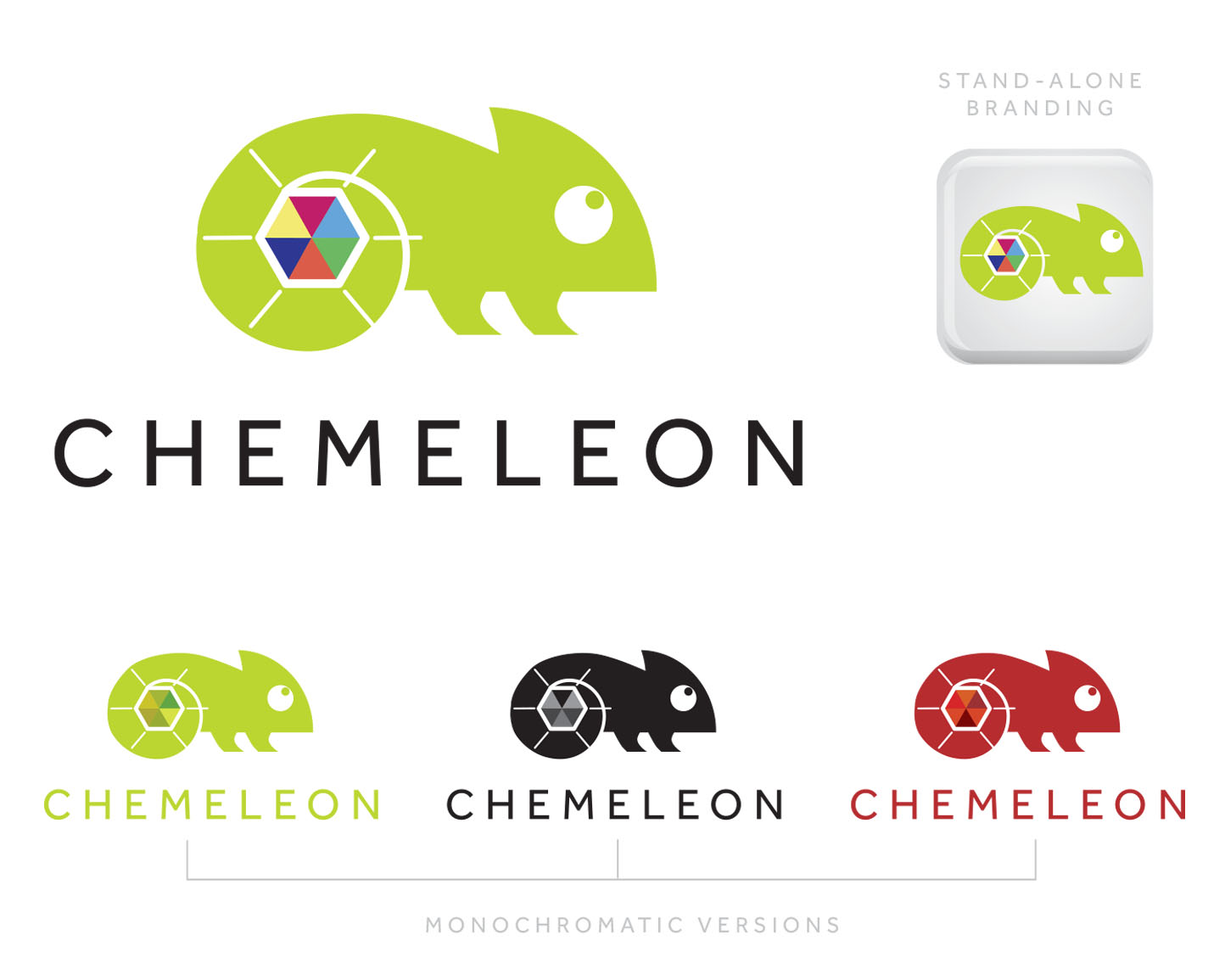 Logo Design entry 1549013 submitted by quimcey to the Logo Design for Chemeleon run by bwalk77