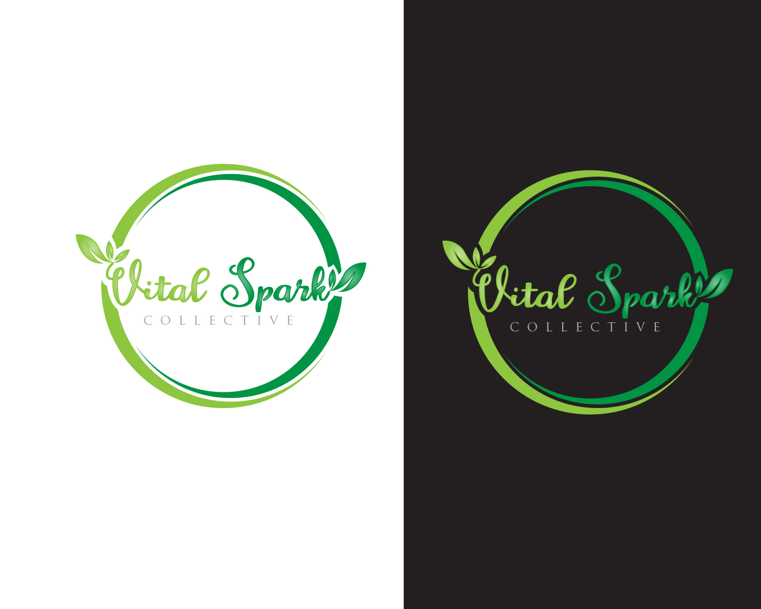 Logo Design entry 1549105 submitted by JBsign to the Logo Design for Vital Spark  run by annaspangler