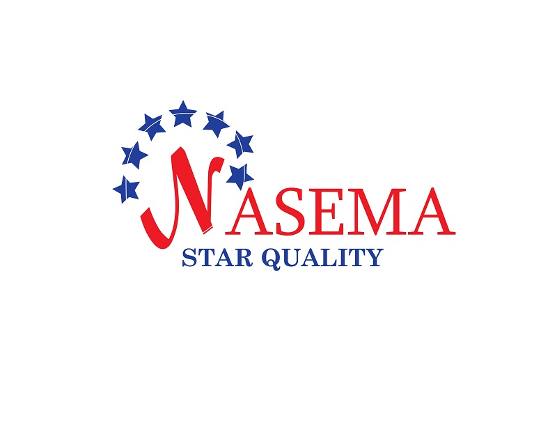 Logo Design entry 1553740 submitted by TheoVr to the Logo Design for Nasema run by hafizabreez