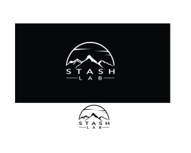 Logo Design entry 1555712 submitted by dshineart to the Logo Design for Stash Lab run by jasonmeunier