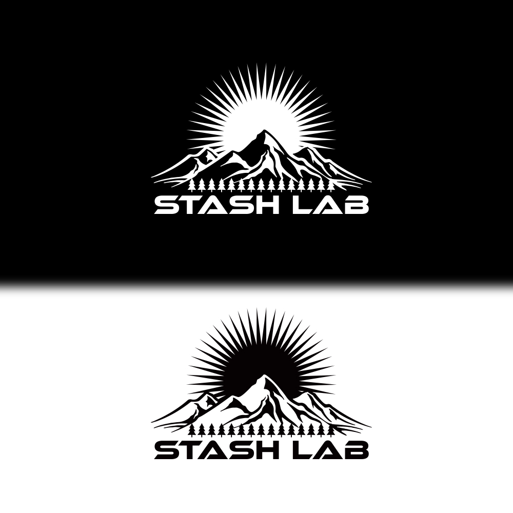 Logo Design entry 1555730 submitted by Sohagi Akter to the Logo Design for Stash Lab run by jasonmeunier