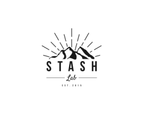 Logo Design entry 1555742 submitted by ndaru_ to the Logo Design for Stash Lab run by jasonmeunier
