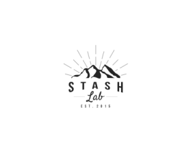 Logo Design entry 1555761 submitted by ndaru_ to the Logo Design for Stash Lab run by jasonmeunier