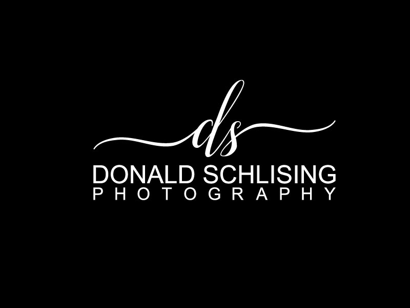 Logo Design entry 1556485 submitted by T2T to the Logo Design for Donald Schlising Photography run by nhgames