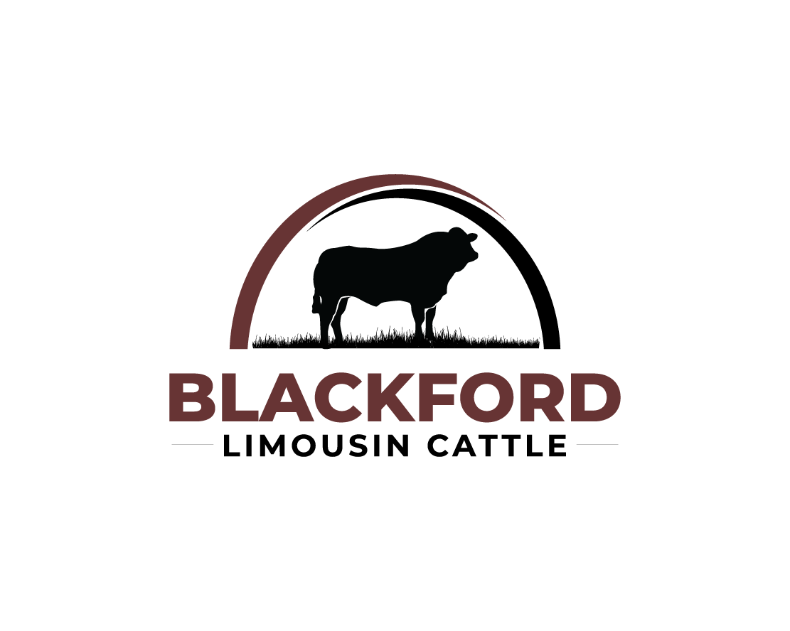 Logo Design Contest for Blackford Limousin Cattle | Hatchwise