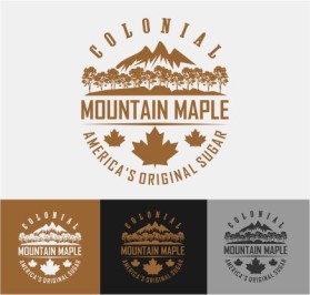 Logo Design entry 1625400 submitted by WoAdek