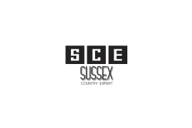 Logo Design entry 1571387 submitted by DonyDesign to the Logo Design for Sussex County Expert Designation run by SCAOR