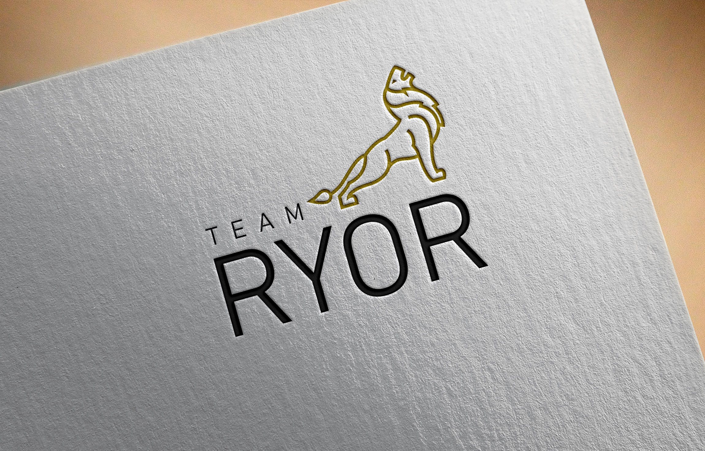 Logo Design entry 1574508 submitted by Moderat to the Logo Design for Team RYOR run by MJTowler