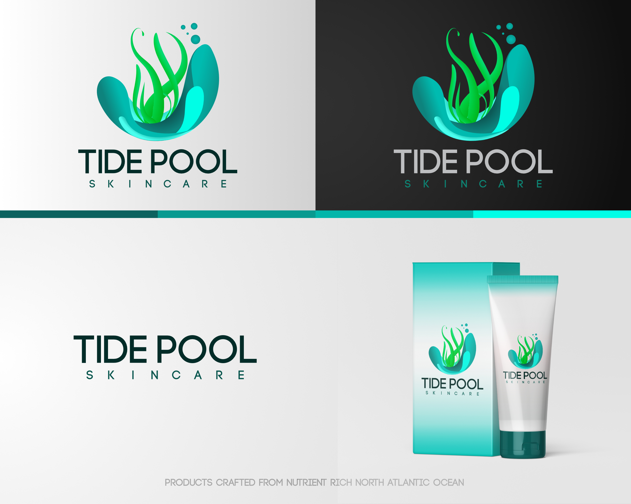Logo Design entry 1576329 submitted by KENJI21 to the Logo Design for TidePool run by jrg615