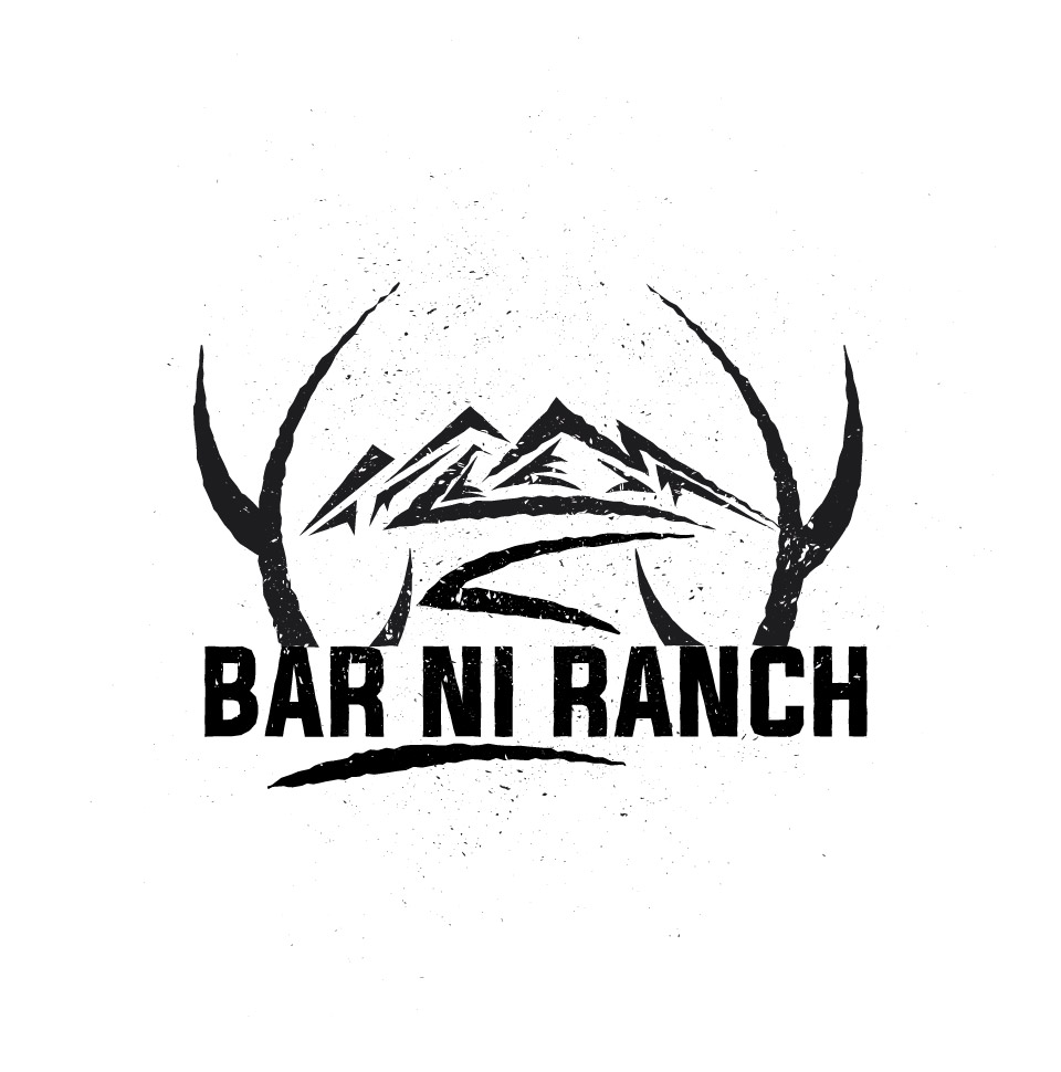 Logo Design entry 1594652 submitted by morearts to the Logo Design for Bar NI Ranch run by jdunlap@thebarniranch.com